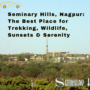 Seminary Hills Nagpur The Best Place for Trekking Wildlife Sunsets Serenity 90x90